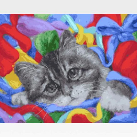 Image of DIY Grey Cat Paint By Numbers Kit Online - Tabby Cat - Painting By Numbers Kit - Artwerkes