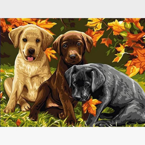 Image of DIY Pups Paint By Numbers Kit Online - Three Musketeers - Painting By Numbers Kit - Artwerkes