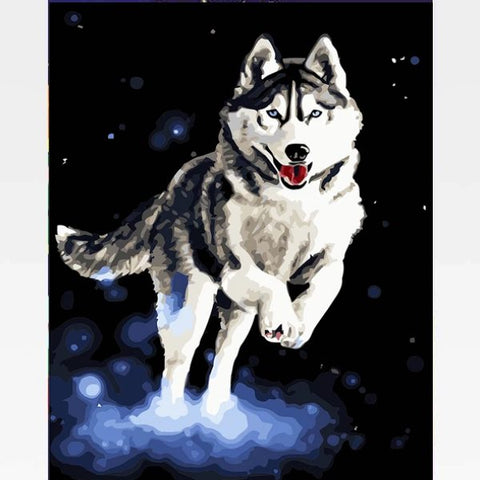 Image of DIY Siberian Husky Paint By Numbers Kit Online - Houdini - Painting By Numbers Kit - Artwerkes