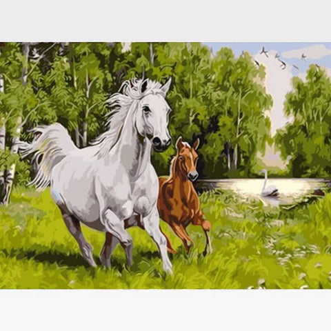 Image of DIY White Horse Paint By Numbers Kit Online - Brigadier - Painting By Numbers Kit - Artwerkes