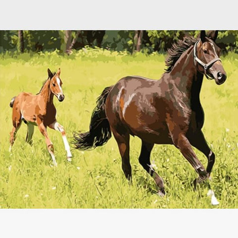 Image of Wild Horses Paint By Numbers Horses Kit - Painting By Numbers Kit - Artwerkes