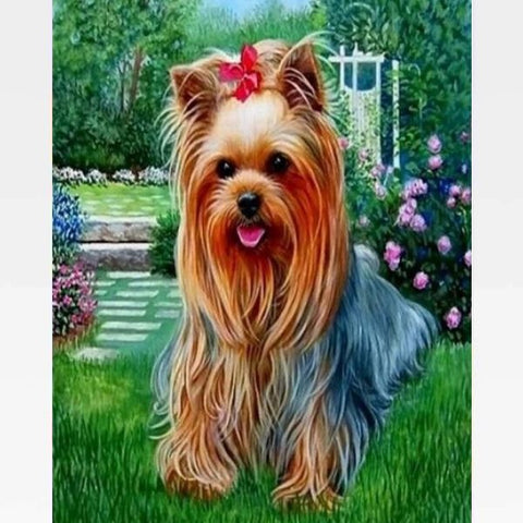 Image of Yorkshire Terrier Dog Paint By Numbers Kit - Painting By Numbers Kit - Artwerkes