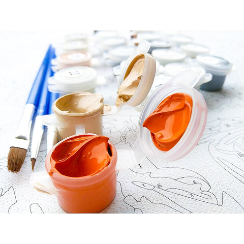 Image of Space Paint By Numbers Kit For Adults - Painting By Numbers Kit - Artwerkes