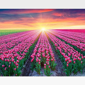 Colorful Tulips Sunrise DIY Painting By Numbers Kit - Painting By Numbers Kit - Artwerkes 