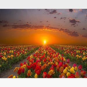 Colorful Tulips Sunset Painting By Numbers Kit - Painting By Numbers Kit - Artwerkes 