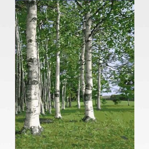 DIY Birch Tree Forest Paint By Numbers Kit - Painting By Numbers Kit - Artwerkes 