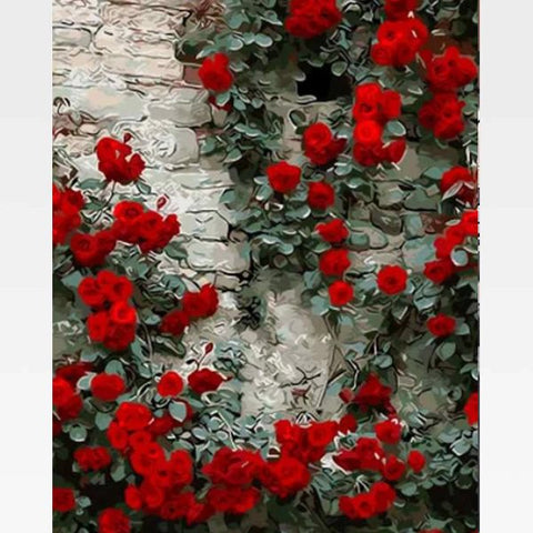 Image of DIY Paint By Numbers Red Rose Flower  Kit Online  - Sweet Thoughts - Painting By Numbers Kit - Artwerkes 