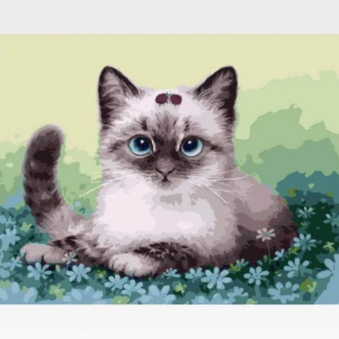 Image of DIY Persian Cat Paint By Numbers Kit Online  - Tabby John - Painting By Numbers Kit - Artwerkes 