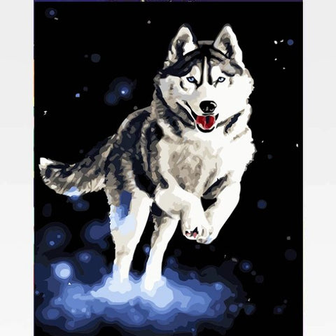 Image of DIY Siberian Husky Paint By Numbers Kit Online  - Houdini - Painting By Numbers Kit - Artwerkes 