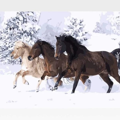 Image of DIY Snow Horses Paint By Numbers Kit Online - Painting By Numbers Kit - Artwerkes 