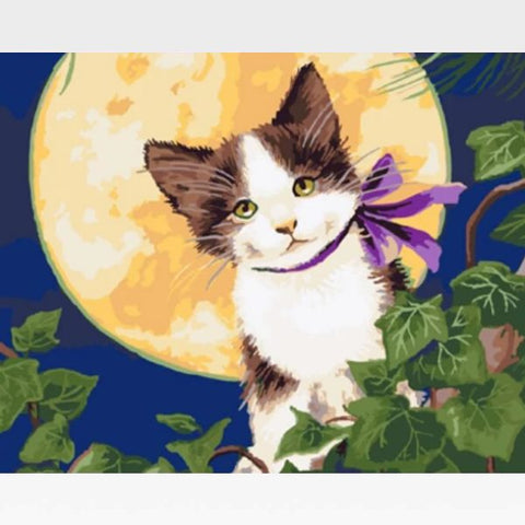 Image of DIY Tom Cat Paint By Numbers Kit Online  - Snappy Tom - Painting By Numbers Kit - Artwerkes 