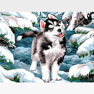 Husky Puppy Paint By Numbers Kit - Painting By Numbers Kit - Artwerkes 