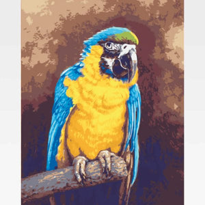 Parrot Paint By Numbers Kit For Adults - Painting By Numbers Kit - Artwerkes 