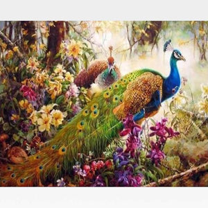 Peacock Paint By Numbers Kit - Painting By Numbers Kit - Artwerkes 