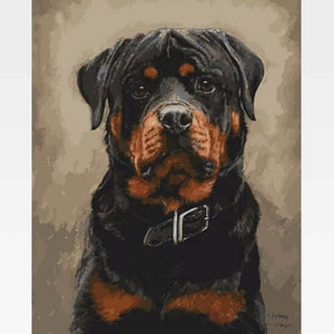 Rottweiler Paint by Numbers Kit - Painting By Numbers Kit - Artwerkes 