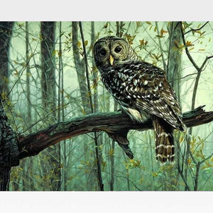 Sad Owl - Paint by Numbers Kit - Painting By Numbers Kit - Artwerkes 
