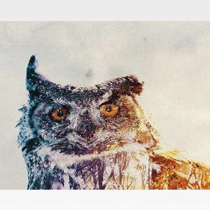 Snow Owl - Paint by Numbers Kit - Painting By Numbers Kit - Artwerkes 