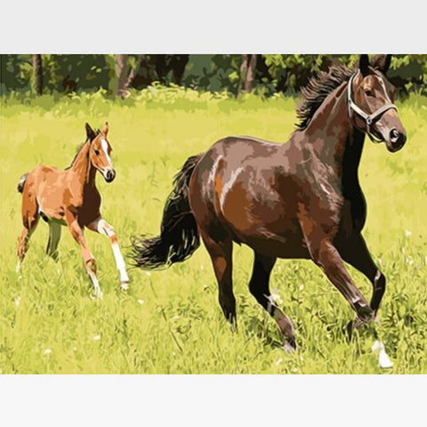 Image of Wild Horses Paint By Numbers Horses Kit - Painting By Numbers Kit - Artwerkes 